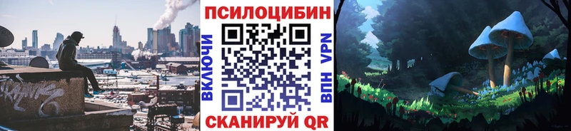 Купить где  Горняк  Псилоцибиновые грибы мицелий 